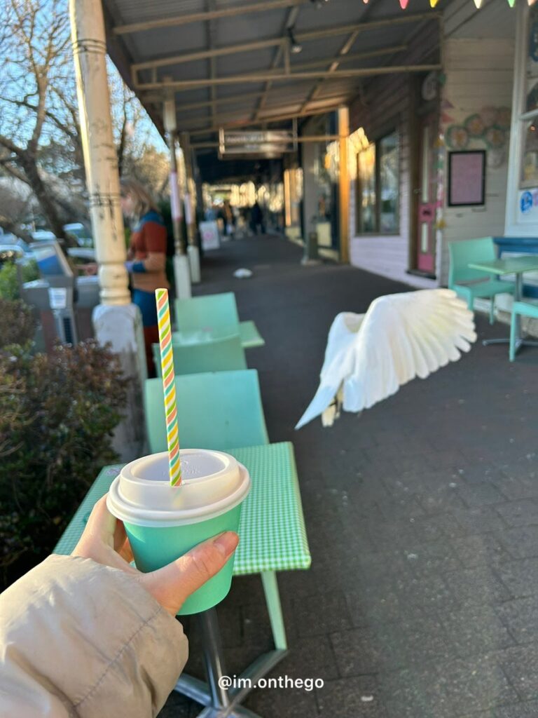 Blue Mountains Sunset & Stargazing Tour Review (2026): Is It Worth It? Leura Village cafe