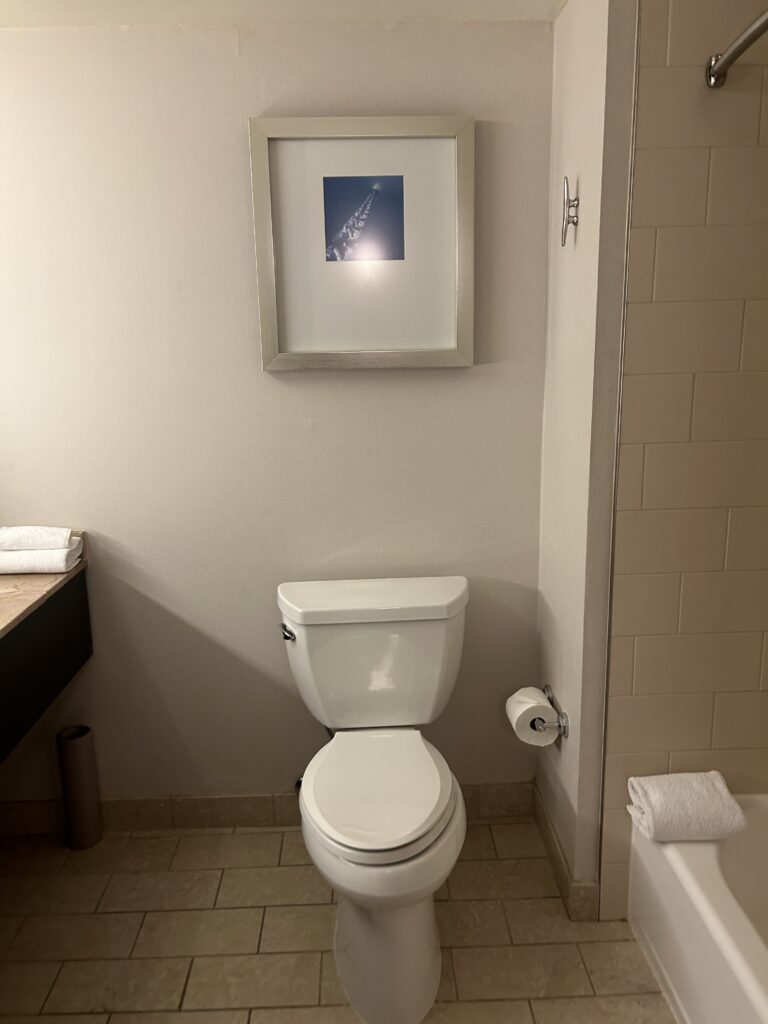 The Honest Truth About Hyatt Centric Fisherman’s Wharf San Francisco sf hyatt centric (10)