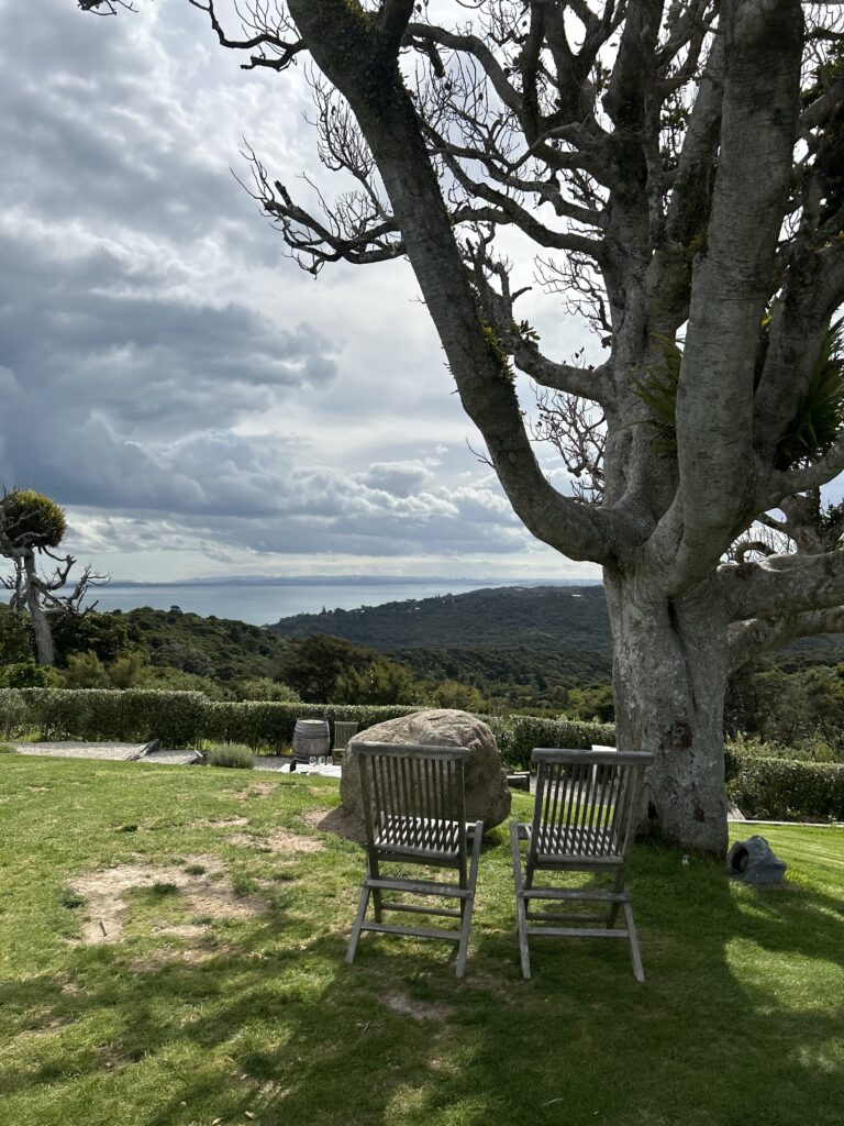 waiheke island wine tour (1)
