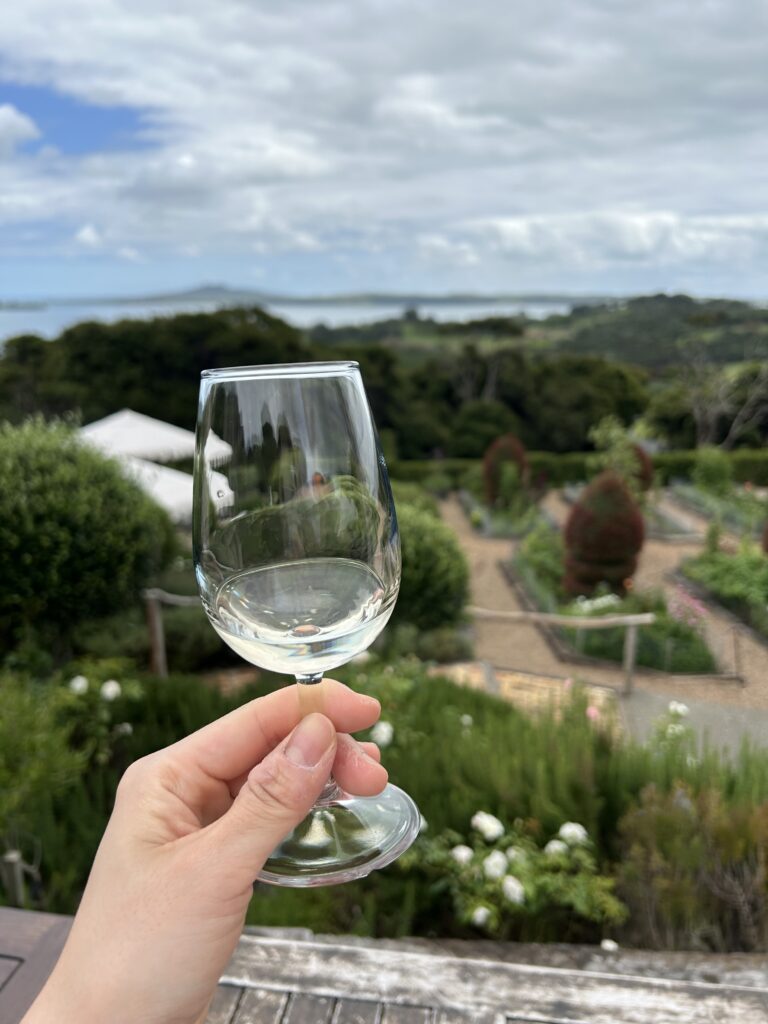 waiheke island wine tour (11)