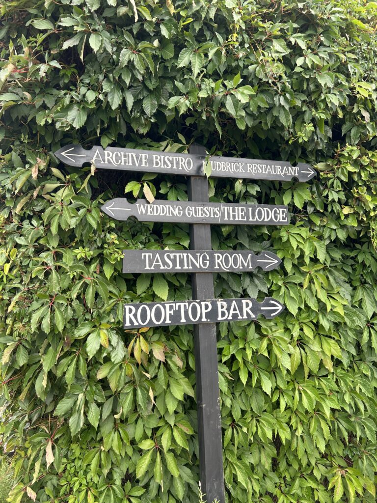 waiheke island wine tour (14)