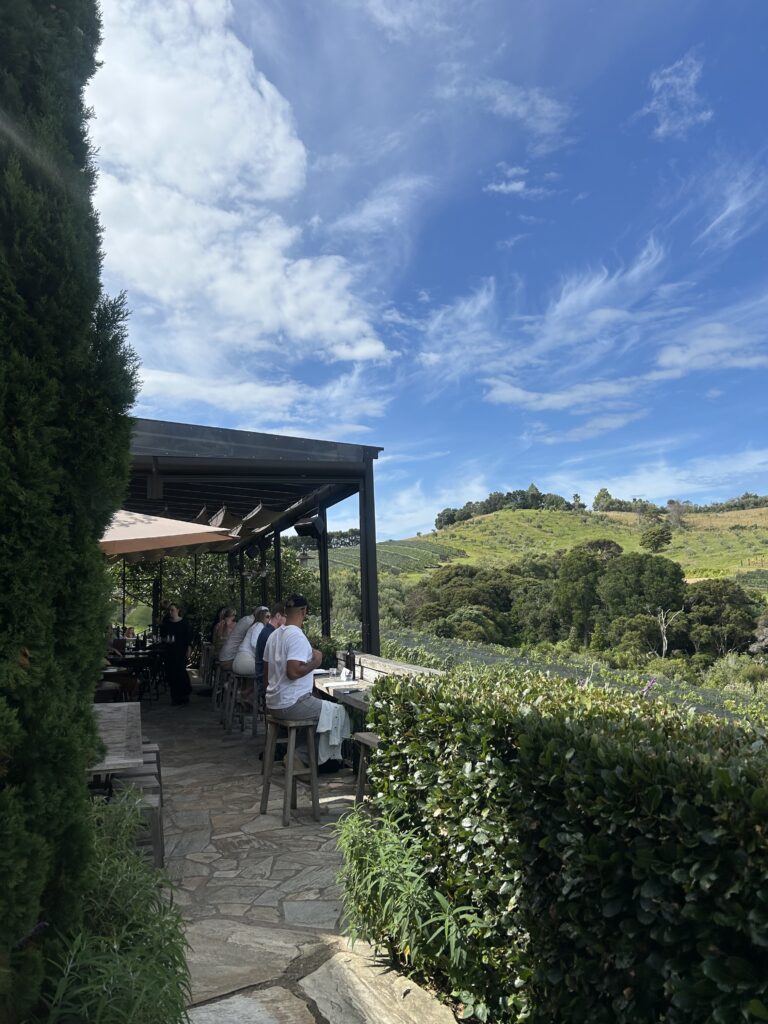 waiheke island wine tour (19)