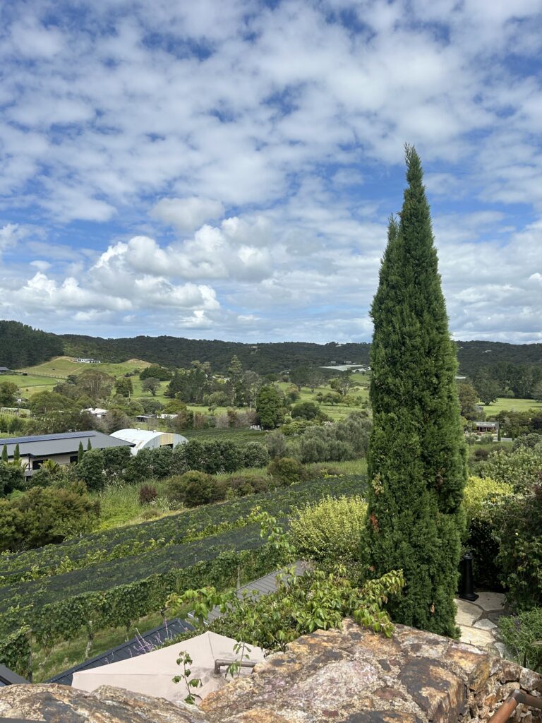 waiheke island wine tour (23)