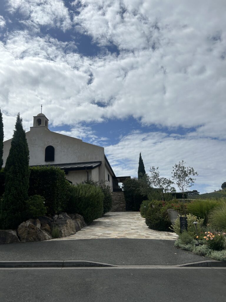 waiheke island wine tour (24)