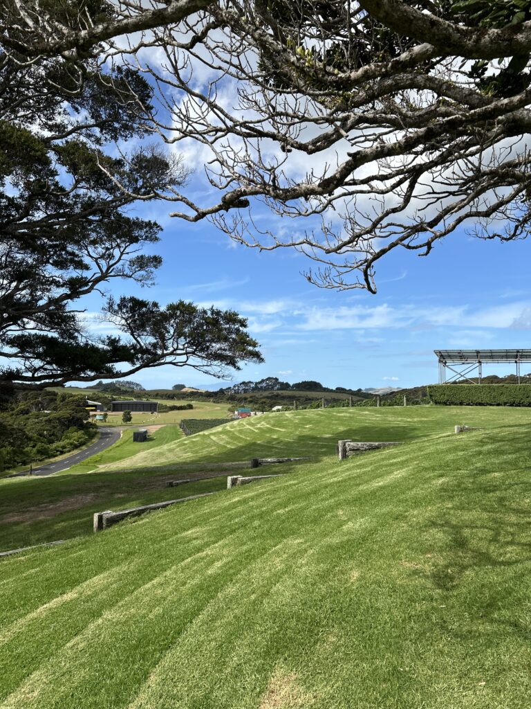 waiheke island winery (2)