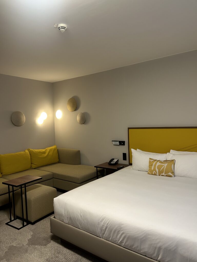 hyatt place paris charles de gaulle airport review (11)